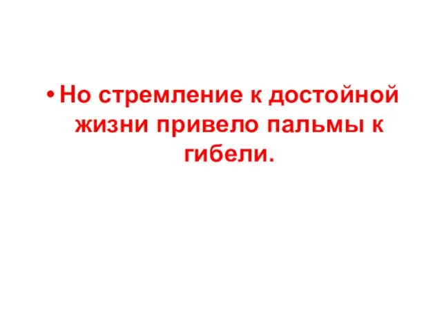 Но стремление к достойной жизни привело пальмы к гибели.