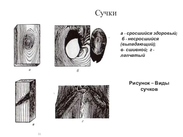 Сучки а - сросшийся здоровый; б - несросшийся (выпадающий); в- сшивной;