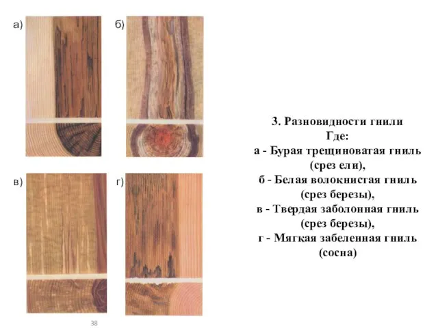 а) б) в) г) 3. Разновидности гнили Где: а - Бурая