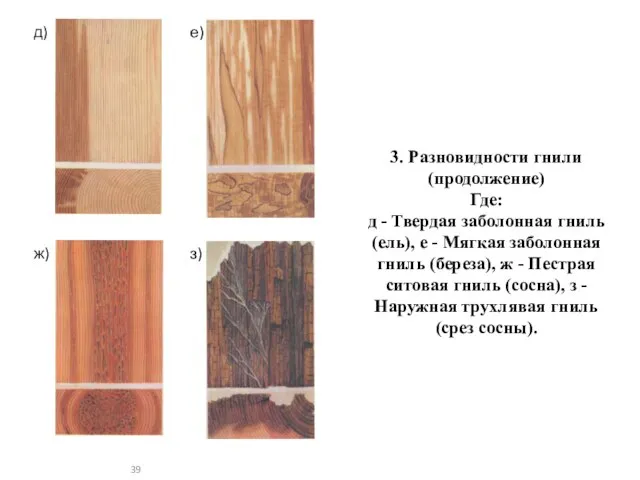 д) е) ж) з) 3. Разновидности гнили (продолжение) Где: д -