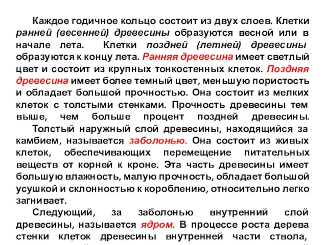 Каждое годичное кольцо состоит из двух слоев. Клетки ранней (весенней) древесины