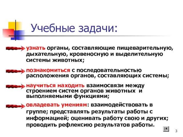 Учебные задачи: познакомиться с последовательностью расположения органов, составляющих системы; научиться находить