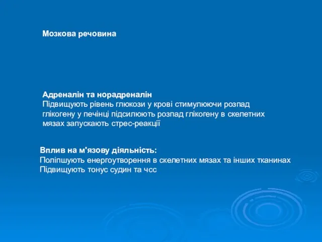 Адреналін та норадреналін Підвищують рівень глюкози у крові стимулюючи розпад глікогену