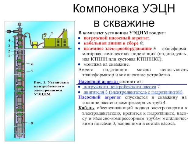 Компоновка УЭЦН в скважине В комплект установки УЭЦНМ входят: погружной насосный