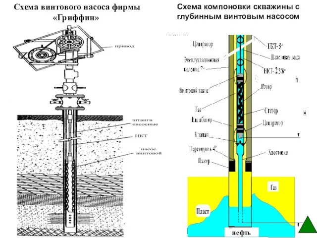 Схема винтового насоса фирмы «Гриффин» Схема компоновки скважины с глубинным винтовым насосом нефть