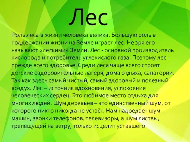 Лес Роль леса в жизни человека велика. Большую роль в поддержании