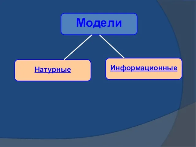 Модели Натурные Информационные