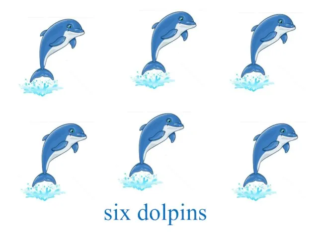 six dolpins