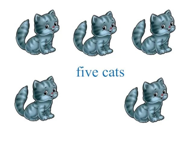 five cats