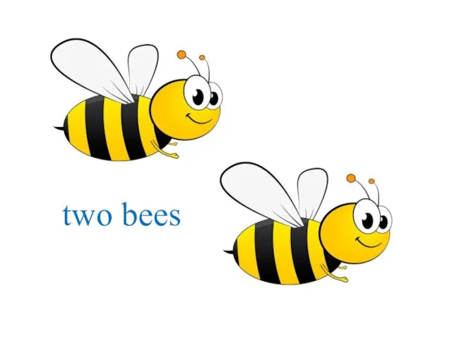 two bees