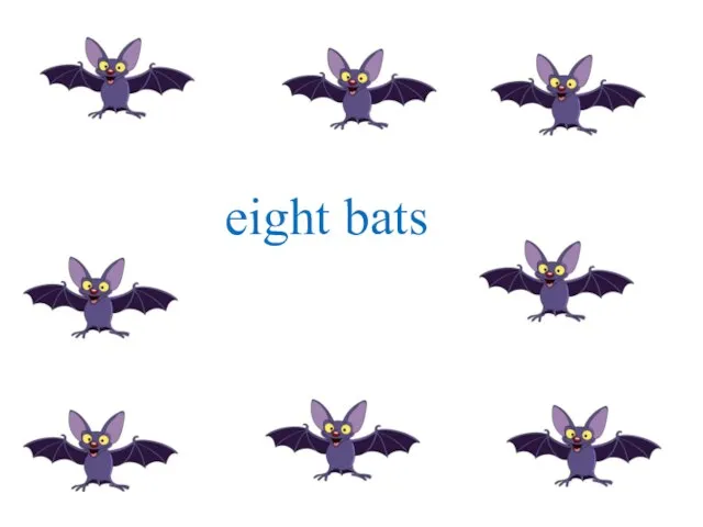 eight bats