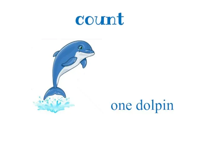 count one dolpin