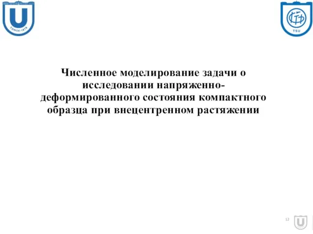 Численное моделирование задачи о исследовании напряженно-деформированного состояния компактного образца при внецентренном растяжении 12