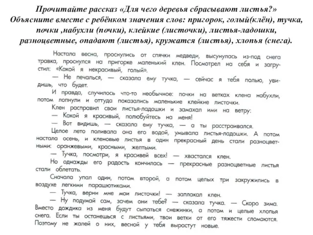 Прочитайте рассказ «Для чего деревья сбрасывают листья?» Объясните вместе с ребёнком