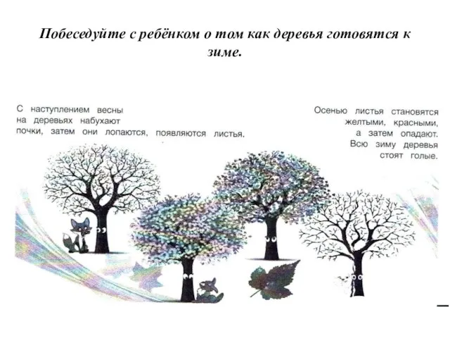 Побеседуйте с ребёнком о том как деревья готовятся к зиме.