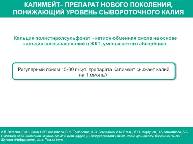 А.В. Ватазин, Е.М. Шилов, Н.Ю. Хозяинова, В.М. Ермоленко, А.Ю. Земченков, А.М.