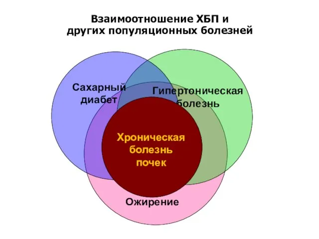 Сахарный диабет Взаимоотношение ХБП и других популяционных болезней Гипертоническая болезнь Ожирение Хроническая болезнь почек