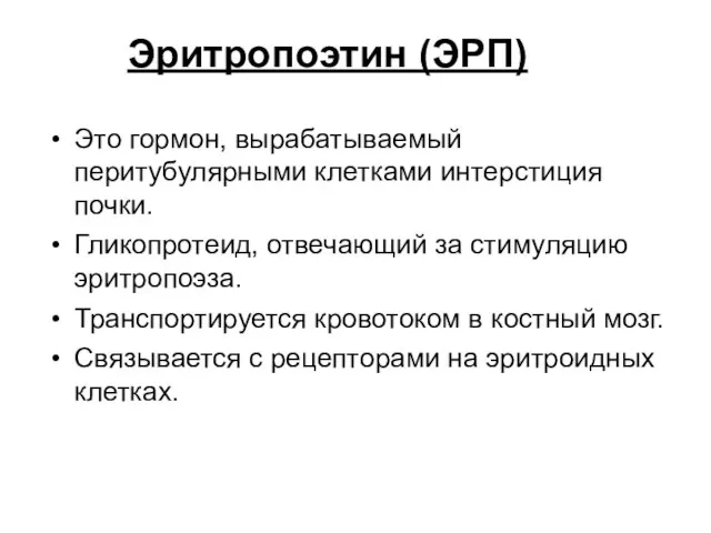 Эритропоэтин (ЭРП) Это гормон, вырабатываемый перитубулярными клетками интерстиция почки. Гликопротеид, отвечающий