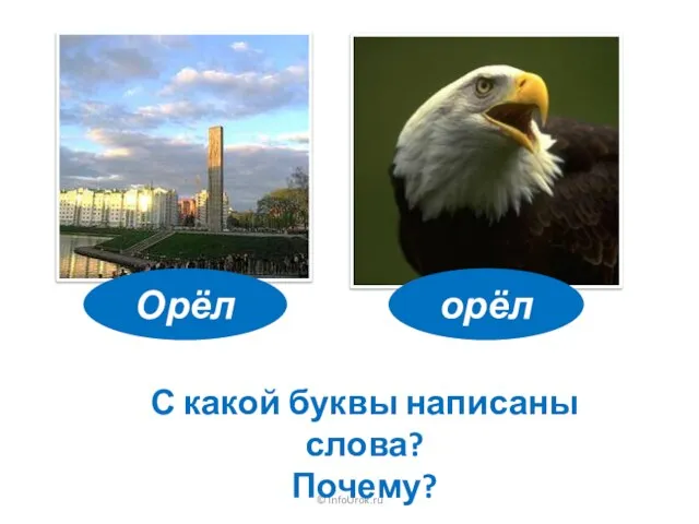 © InfoUrok.ru орёл Орёл С какой буквы написаны слова? Почему?