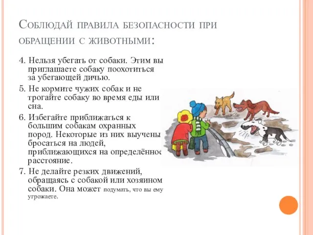 Соблюдай правила безопасности при обращении с животными: 4. Нельзя убегать от