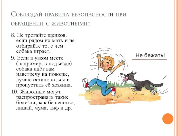 Соблюдай правила безопасности при обращении с животными: 8. Не трогайте щенков,