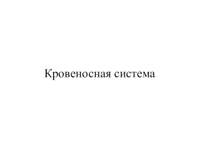 Кровеносная система