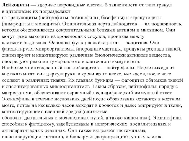 Лейкоциты — ядерные шаровидные клетки. В зависимости от типа гранул в