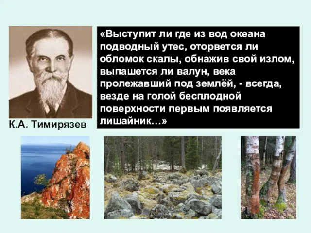 «Выступит ли где из вод океана подводный утес, оторвется ли обломок