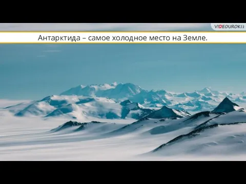 Антарктида – самое холодное место на Земле.