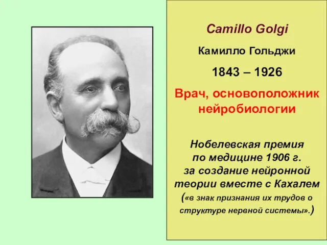 Camillo Golgi Камилло Гольджи 1843 – 1926 Врач, основоположник нейробиологии Нобелевская