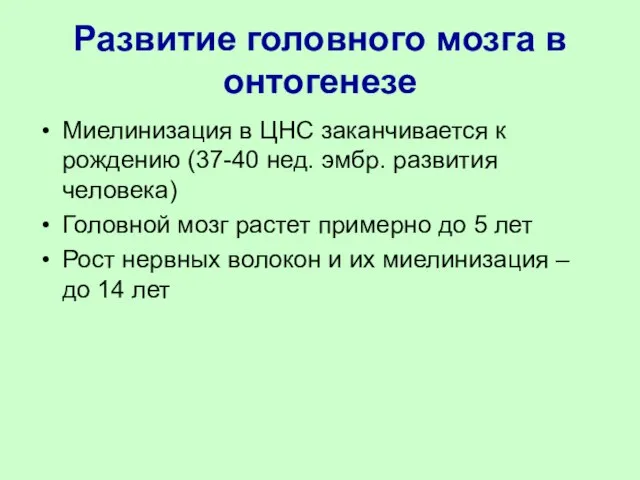 Развитие головного мозга в онтогенезе Миелинизация в ЦНС заканчивается к рождению