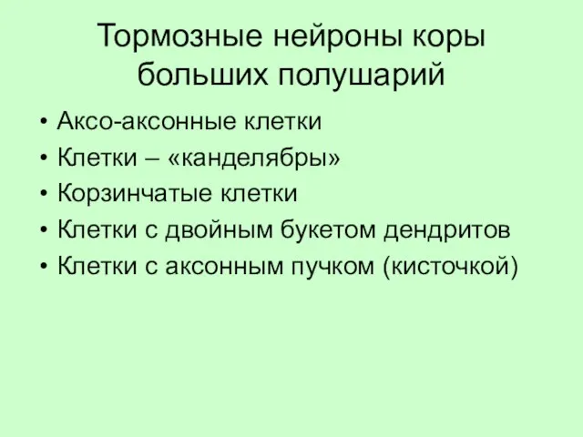 Тормозные нейроны коры больших полушарий Аксо-аксонные клетки Клетки – «канделябры» Корзинчатые