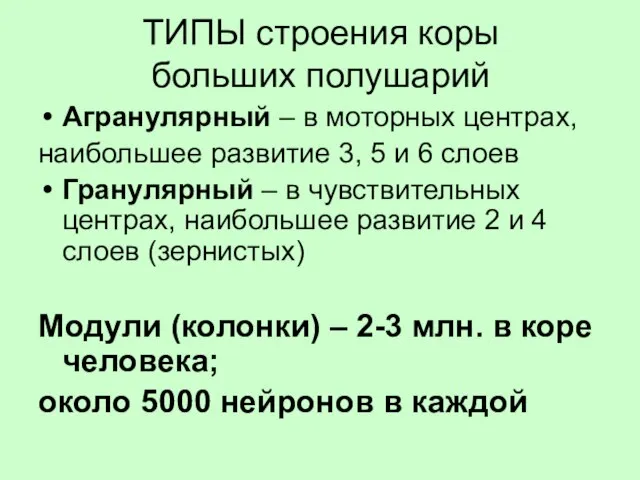 ТИПЫ строения коры больших полушарий Агранулярный – в моторных центрах, наибольшее