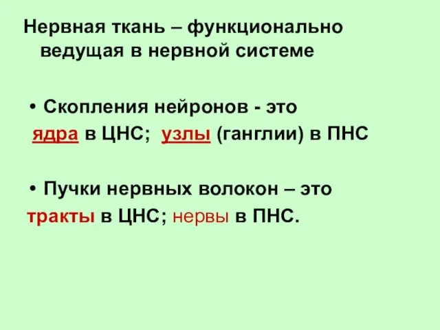 Нервная ткань – функционально ведущая в нервной системе Скопления нейронов -