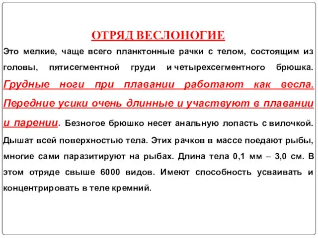 Это мелкие, чаще всего планктонные рачки с телом, состоящим из головы,