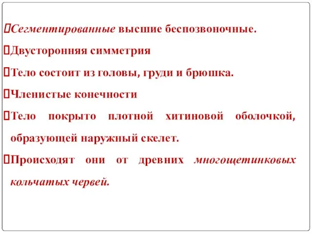 Сегментированные высшие беспозвоночные. Двусторонняя симметрия Тело состоит из головы, груди и