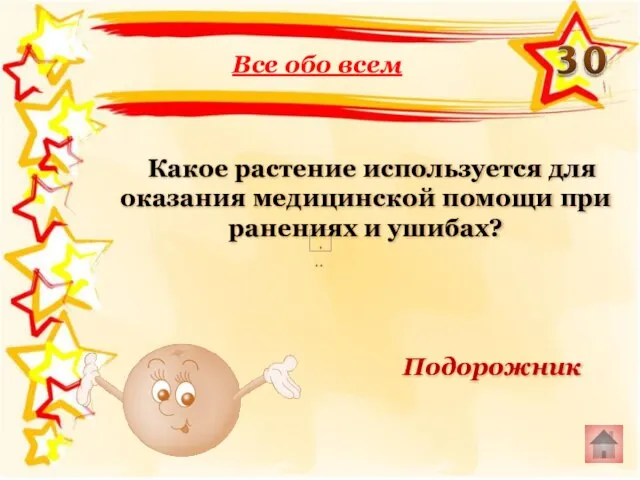 Все обо всем Подорожник Какое растение используется для оказания медицинской помощи при ранениях и ушибах?