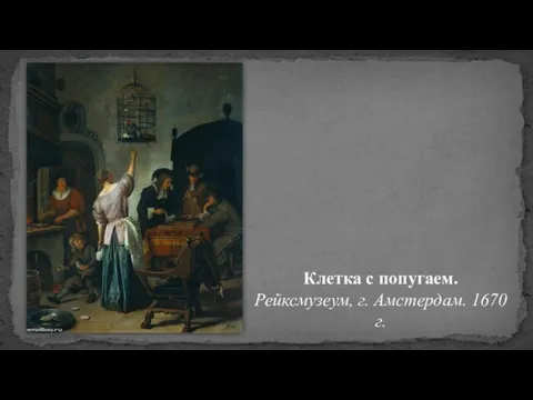 Клетка с попугаем. Рейксмузеум, г. Амстердам. 1670 г.