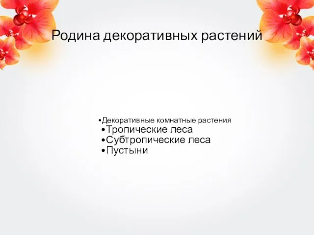 Родина декоративных растений Декоративные комнатные растения Тропические леса Субтропические леса Пустыни