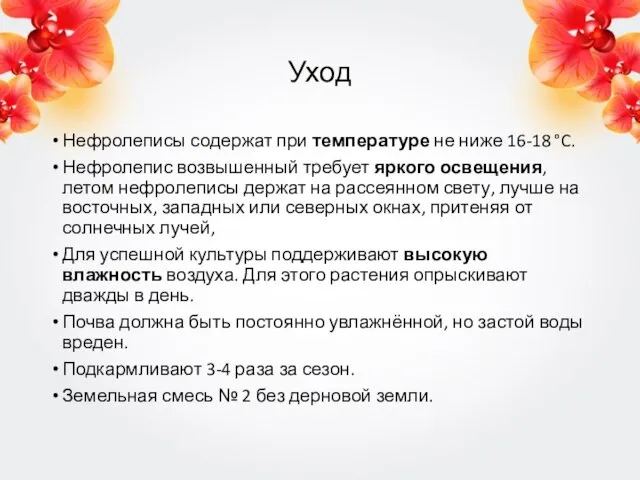 Уход Нефролеписы содержат при температуре не ниже 16-18 °C. Нефролепис возвышенный