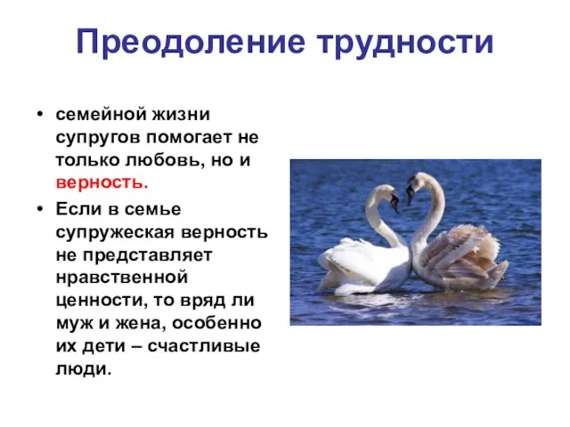 Преодоление трудности семейной жизни супругов помогает не только любовь, но и