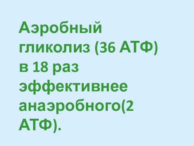 Аэробный гликолиз (36 АТФ) в 18 раз эффективнее анаэробного(2 АТФ).