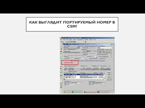 КАК ВЫГЛЯДИТ ПОРТИРУЕМЫЙ НОМЕР В CSM?