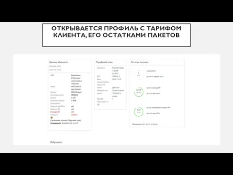 ОТКРЫВАЕТСЯ ПРОФИЛЬ С ТАРИФОМ КЛИЕНТА, ЕГО ОСТАТКАМИ ПАКЕТОВ