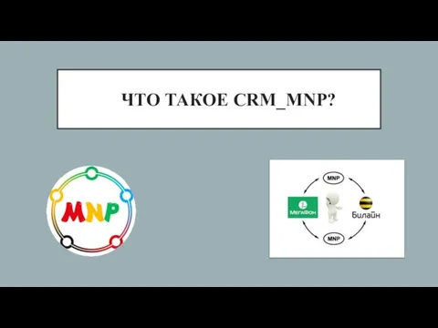 ЧТО ТАКОЕ СRM_MNP?