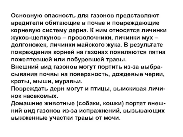 Основную опасность для газонов представляют вредители обитающие в почве и повреждающие