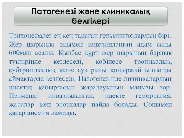 Патогенезі және клиникалық белгілері Трихоцефалез ең кең тараған гельминтоздардың бірі. Жер