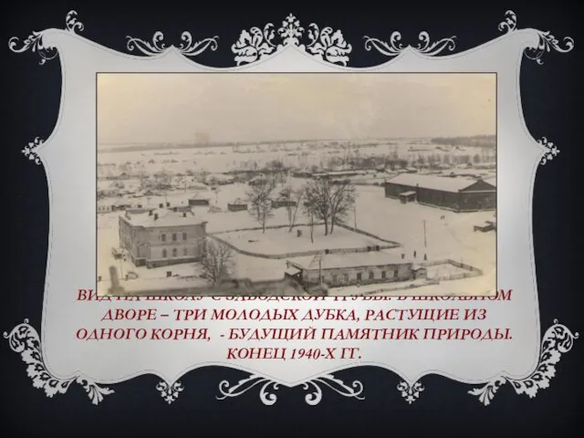 ВИД НА ШКОЛУ С ЗАВОДСКОЙ ТРУБЫ. В ШКОЛЬНОМ ДВОРЕ – ТРИ