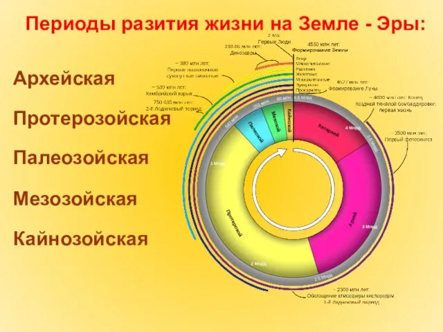 Периоды разития жизни на Земле - Эры: Архейская Протерозойская Палеозойская Мезозойская Кайнозойская