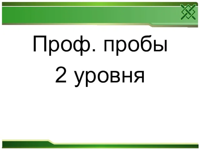 Проф. пробы 2 уровня